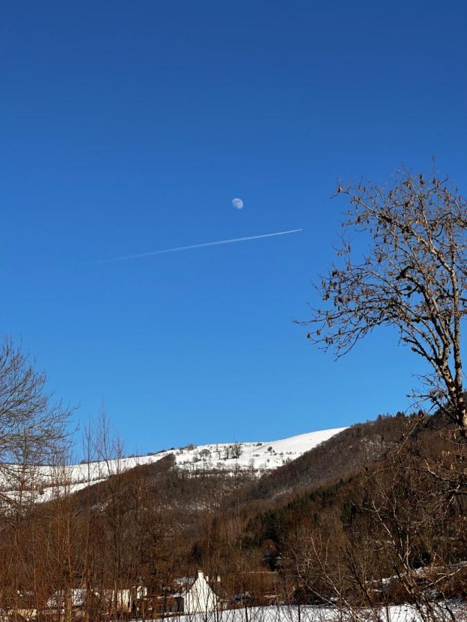 Vic-sur-Cère Belle Maison De Ville Au Coeur Du Village De Montagne מראה חיצוני תמונה