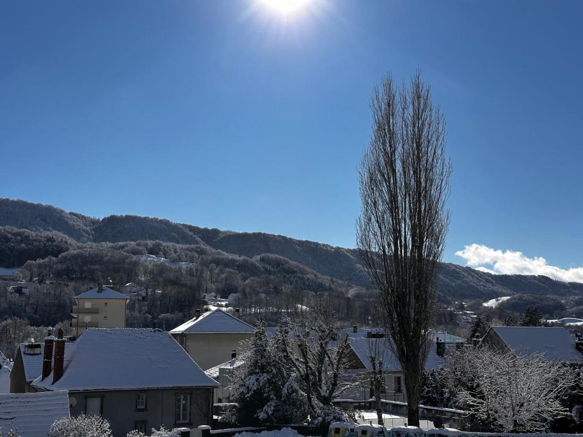 Vic-sur-Cère Belle Maison De Ville Au Coeur Du Village De Montagne מראה חיצוני תמונה